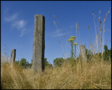 Basaltsäule im trockenen Gras