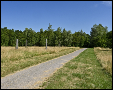 Klangstelen aus Basalt am Mechtenberg