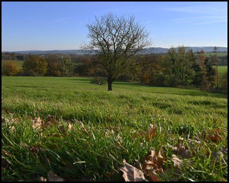 Der Weg steigt an, die Aussicht wird immer besser