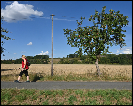 Wanderin auf Straße mit Obstbaum