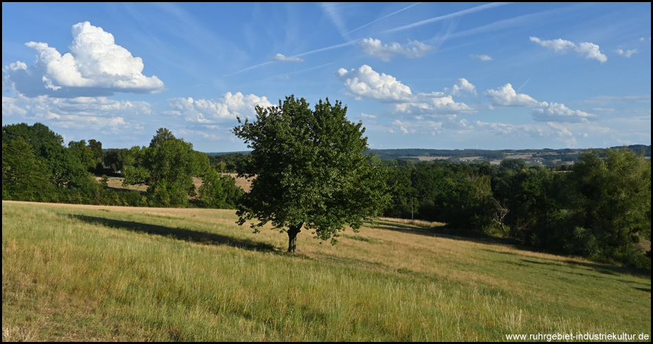 Schöne Aussicht vom Meditationsweg in Bausenhagen