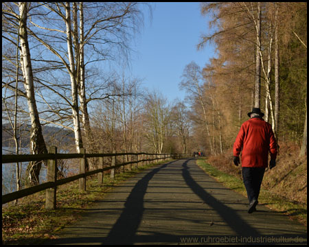 Den See umrundender Rad- und Wanderweg