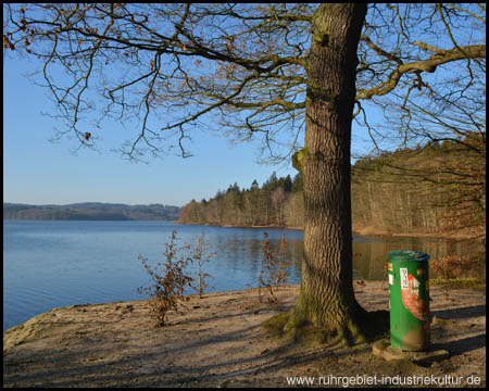 Idyllischer Möhnesee im Bereich des Hevearms