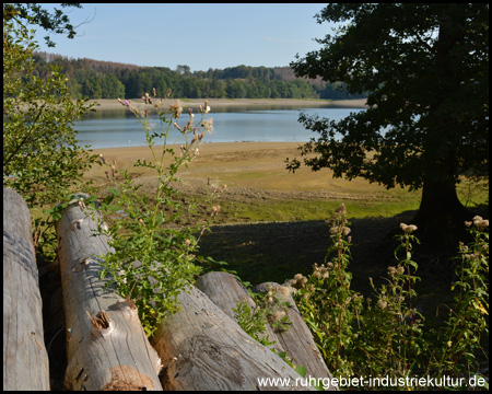 Blick vom Südrandweg auf die Delecker Mark