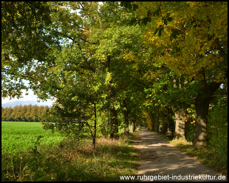 Mollbecke in Recklinghausen