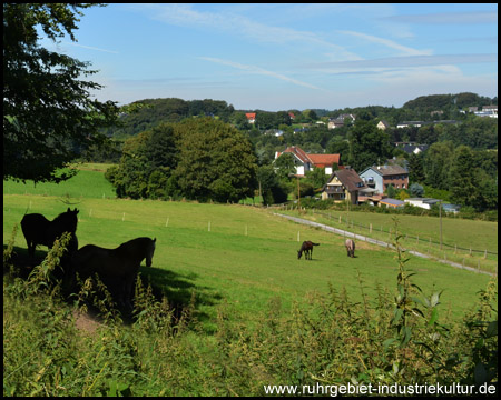 Aussicht auf den Kohlentreiberweg zurück ins Tal