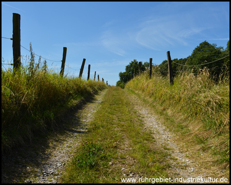 Feldweg von Scheven zum Alten Kotten Ebel