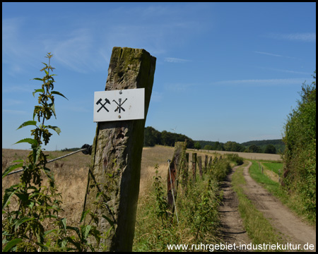 Wiederkehrende Wanderwegsmarkierung am Weidezaun