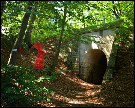 Hier links bergauf und nicht durch den Tunnel (Schild am Baum)