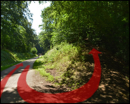 Achtung: Vom Stichweg (Ausgangspunkt) den Berg aufwärts!