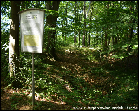 Schacht Richard als Einsturztrichter im Wald