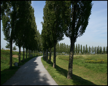 Die Allee umrahmt den neuen Stadtteilpark Mont-Cenis