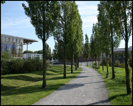 Oval um die Akademie verlaufende Pappelallee