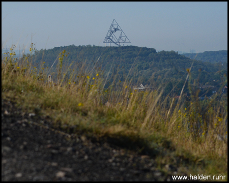 Gut sichtbarer Aussichtsturm auf der Halde Beckstraße