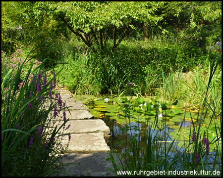 Eines von zahlreichen Biotopen im MüGa-Park