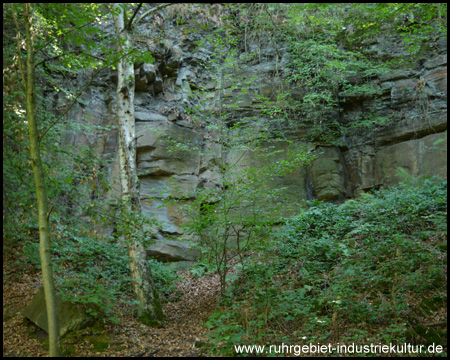 Suchbild: Wer findet den Kopf im Felsen?