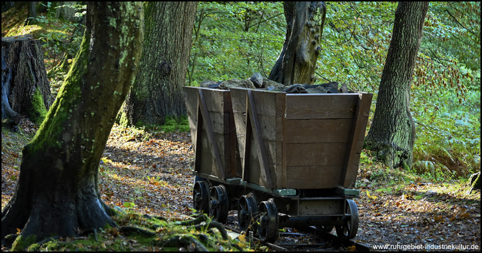 Loren im Wald