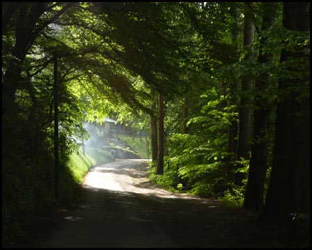 Der ruhige Waldweg beginnt. Am Bethaus läuft der Grill.