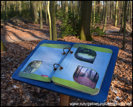 Ein großes "Buch" über den Wald und den Freischütz