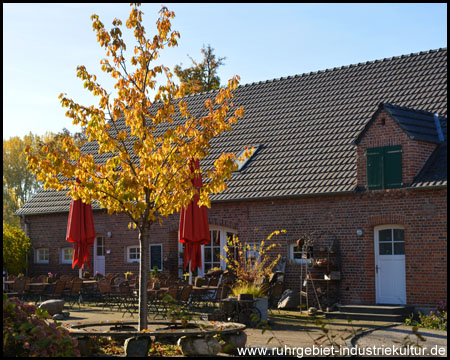 NaturForum Bislicher Insel mit einladendem Café