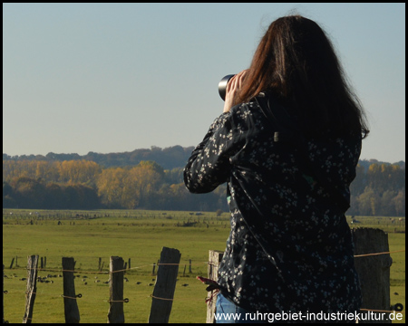 Es gibt unglaublich viel zu Entdecken und Fotografieren