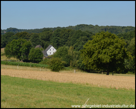 Fachwerkhof und alter Baum