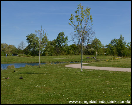 Niederfeldsee