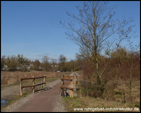 Oeseteiche in Menden