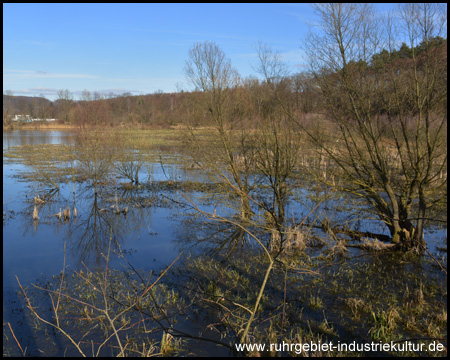 Oeseteiche in Menden