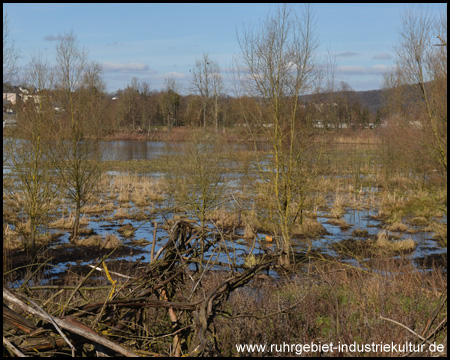 Oeseteiche in Menden