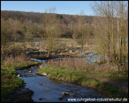 Oeseteiche in Menden