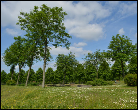 Betonformen mit Baumgruppen und Büschen