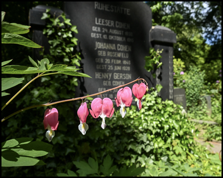 Tränendes Herz vor Grabstein