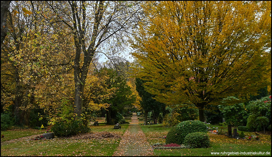 Breiter Friedhofsweg, bedeckt mit herbstlichem Laub, gesäumt von großen Laubbäumen in Gold- und Grüntönen. Im Vordergrund gepflegte Gräber mit runden Hecken und herbstlicher Bepflanzung.