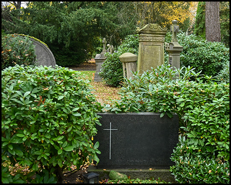 Moderner schwarzer Grabstein, fast vollständig von dichtem grünem Efeu umwachsen, nur ein weißes Kreuz ist sichtbar. Im Hintergrund historische verwitterte Grabsteine zwischen Grünpflanzen.