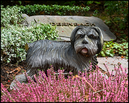 Bronzene oder dunkelgraue Hundeskulptur eines langhaarigen Terriers mit offenem Maul, umgeben von violettem Heidekraut. Im Hintergrund ein Grabstein, teilweise von Pflanzen verdeckt.
