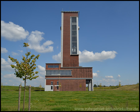 Stolzes Denkmal hinter dem wachsenden "Bürgerwald"