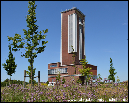 Stolzes Denkmal in einem sich entwickelnden Park