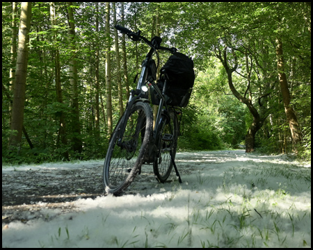 Fahrrad in Blütenpollen, die wie Schnee eine dicke Schicht bilden