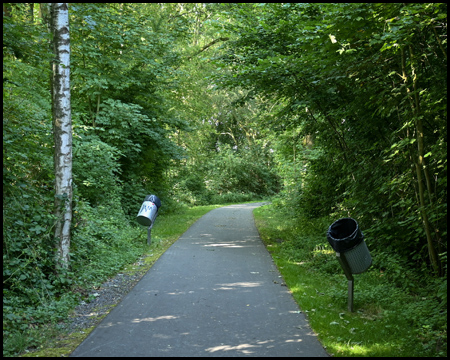 Mülleimer in Wurfhöhe neben dem Radweg