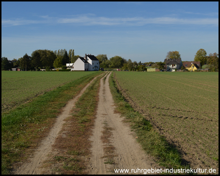 Radweg auf Feldwegen – mitten im Ruhrgebiet (Blick zurück)