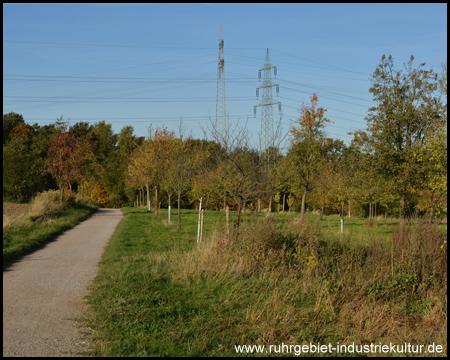 Am Wegesrand liegt eine Obstbaumwiese