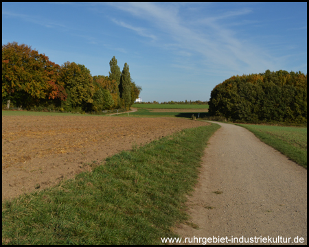 Idyllische Wege inmitten von Feldern und Waldinseln (Blick zurück)