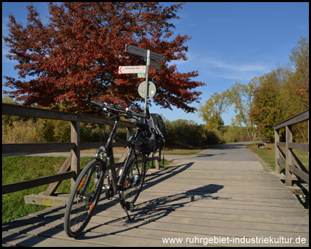 Brücke über den Oelbach. Wir müssen aber abbiegen