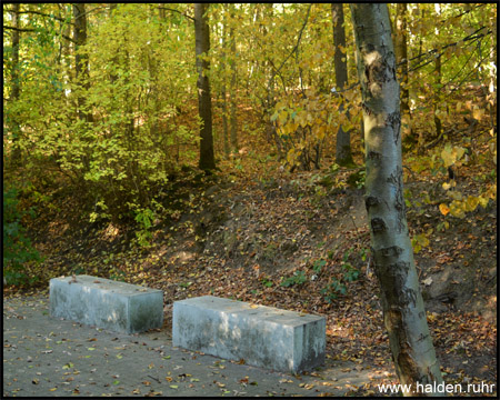 Böschungen im Wald: Halde Jakob