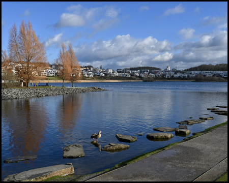 Fußweg am Ufer eines Sees im Winter