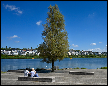 Menschen ruhen auf Betonbänken am Ufer eines Sees. Ein einzelner Baum spendet Schatten, im Hintergrund ist eine moderne Wohnsiedlung zu sehen