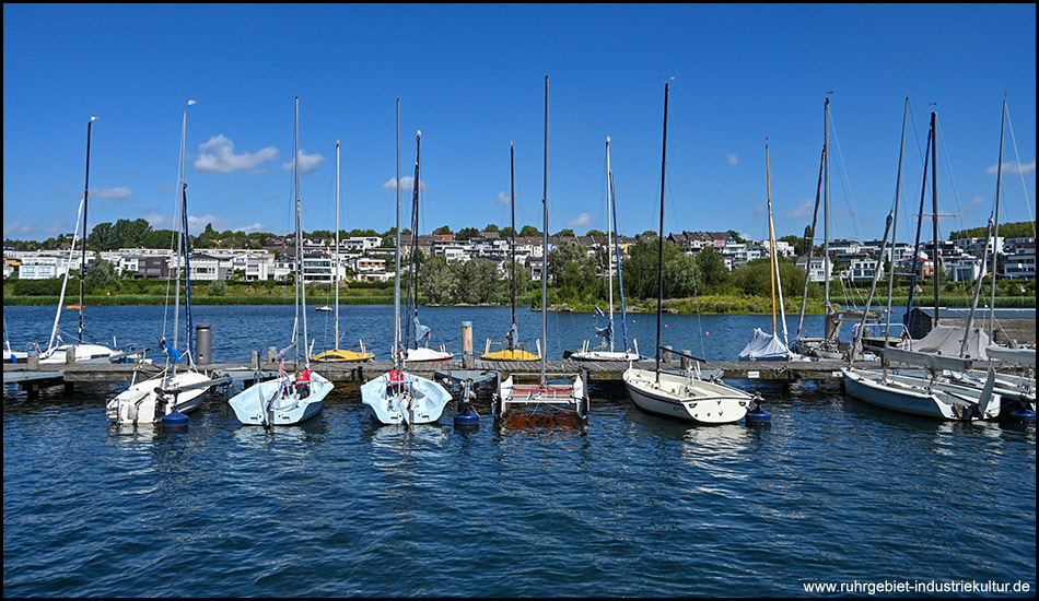 Kleine Segelboote in einem Yachthafen, ordentlich nebeneinander vertäut. Im Hintergrund moderne Wohnhäuser auf einer Anhöhe unter blauem Himmel.