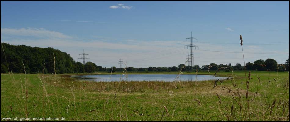 Ein See, wo früher Mais angebaut wurde: Ansicht von der Straße Pleckenbrink (Westufer)