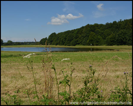 Ansicht von der Ostseite von einem Feldweg